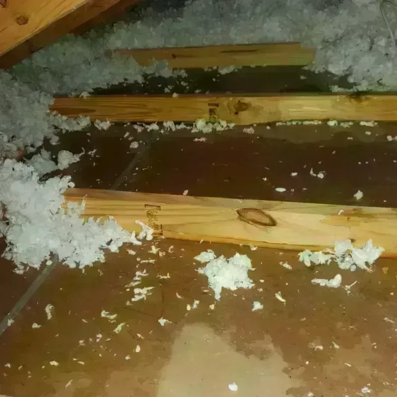 Attic Water Damage in Clay County, TN