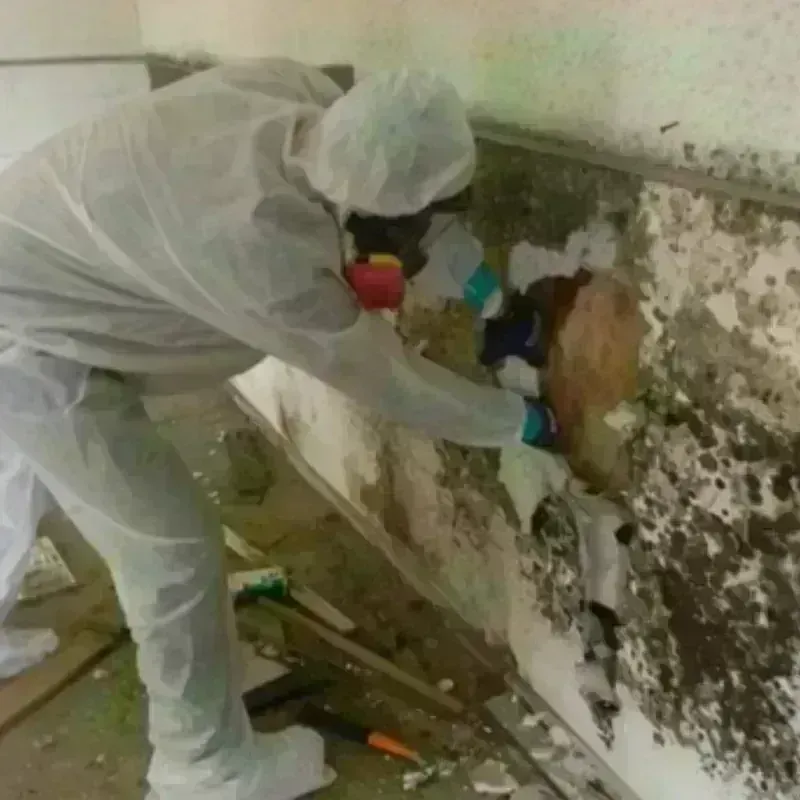 Mold Remediation and Removal in Clay County, TN